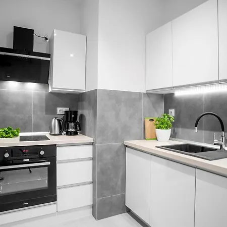 Homely Place Centrum - Stary Rynek - Parking Apartment Poznan