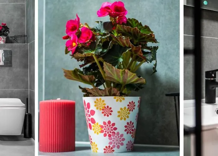 Homely Place Centrum - Stary Rynek - Parking *